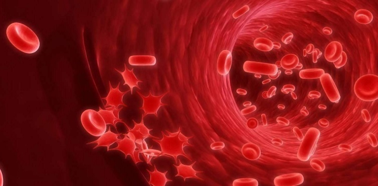 Blood cancer treatment